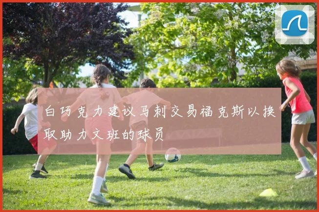 白巧克力建议马刺交易福克斯以换取助力文班的球员