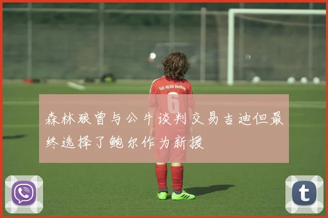 森林狼曾与公牛谈判交易吉迪但最终选择了鲍尔作为新援